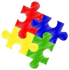 4 principi di trattamento efficace